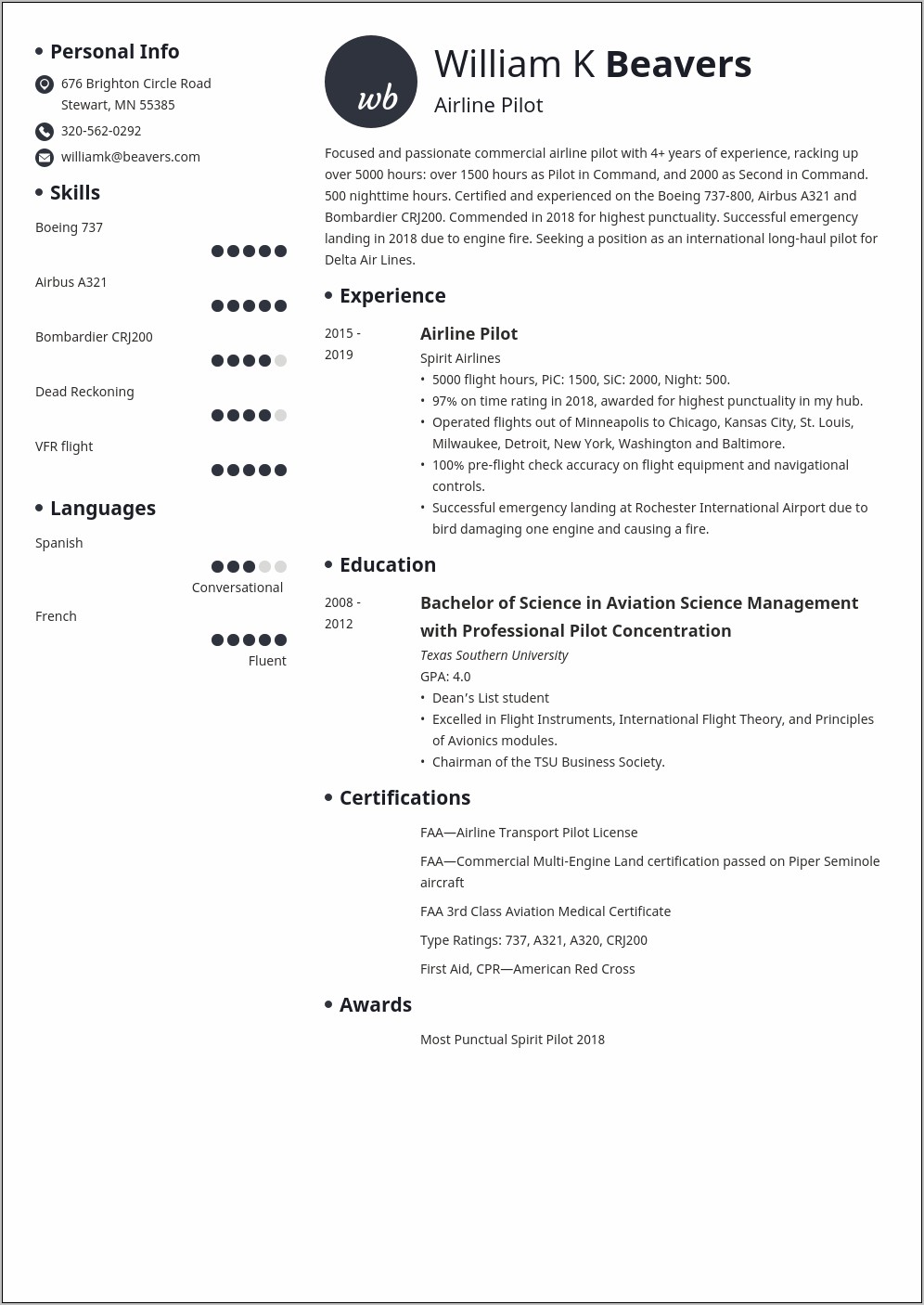 Best Summary For Flight Warrant Resume