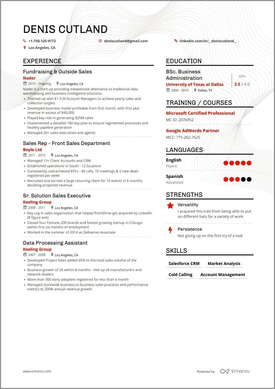 Business And Customer Pitch Resume Example