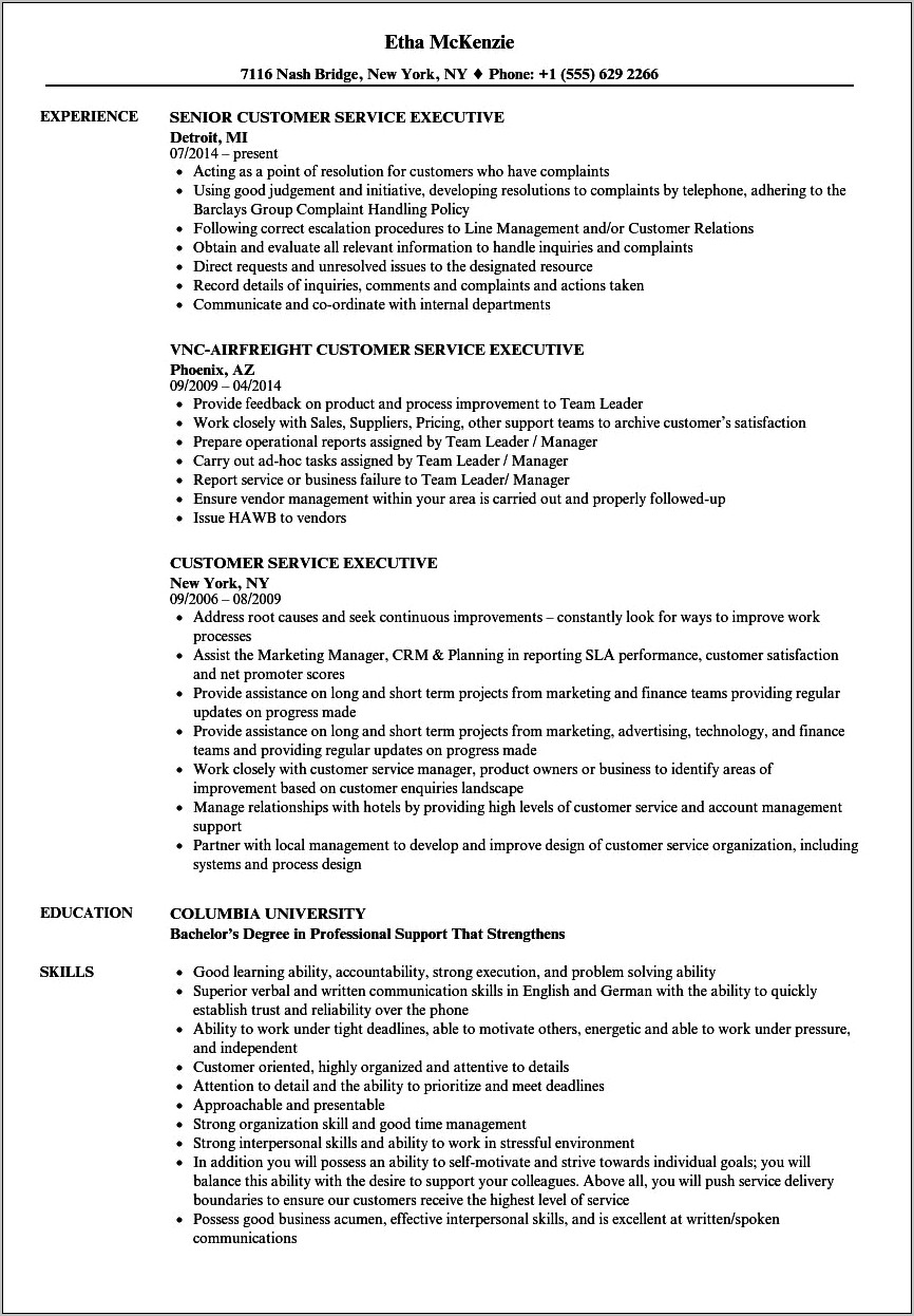 Customer Experience Executive Job Description Resume