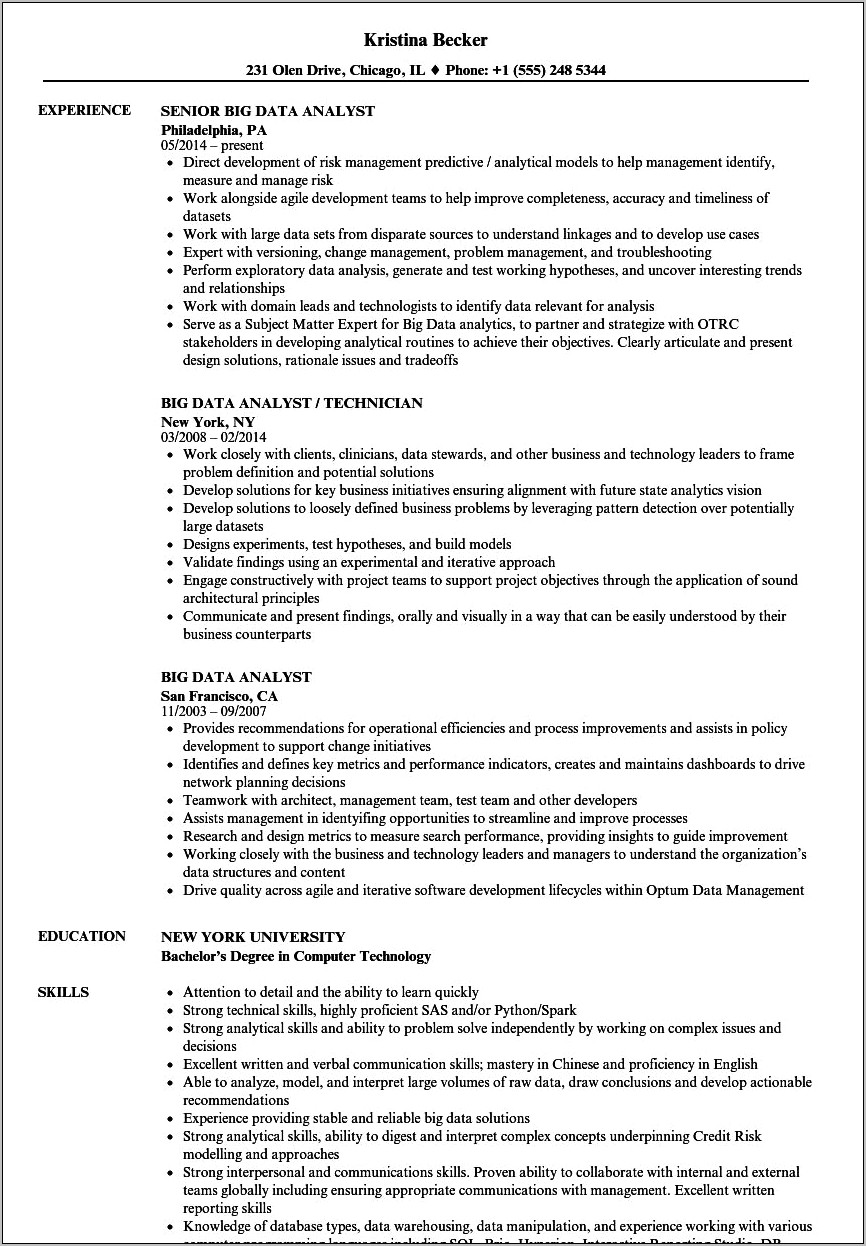 Data Analyst Information For Resume Sample