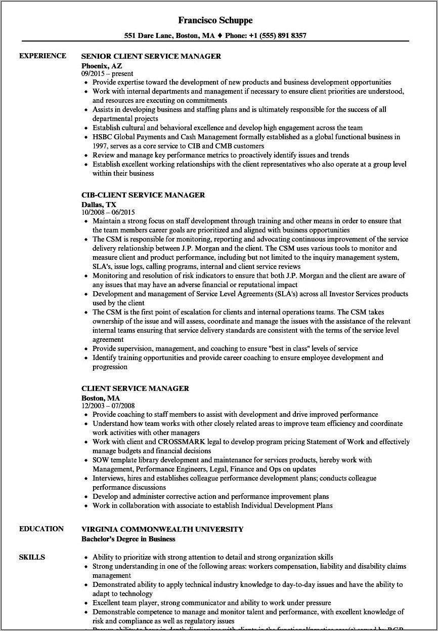 Enterprise C Level Customer Relationship Skills Resume