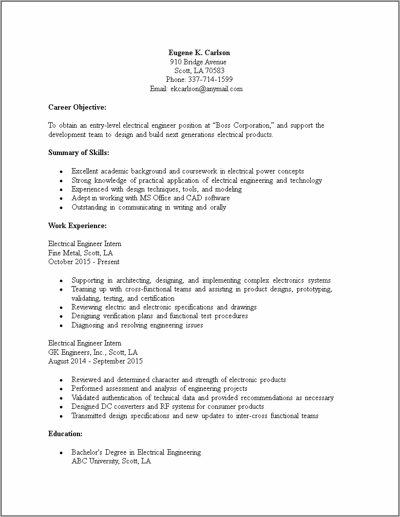 Entry Level Summary On Resume Samples