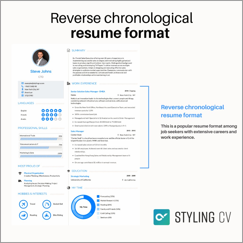 Example Of Chronological Resume Summary Statement