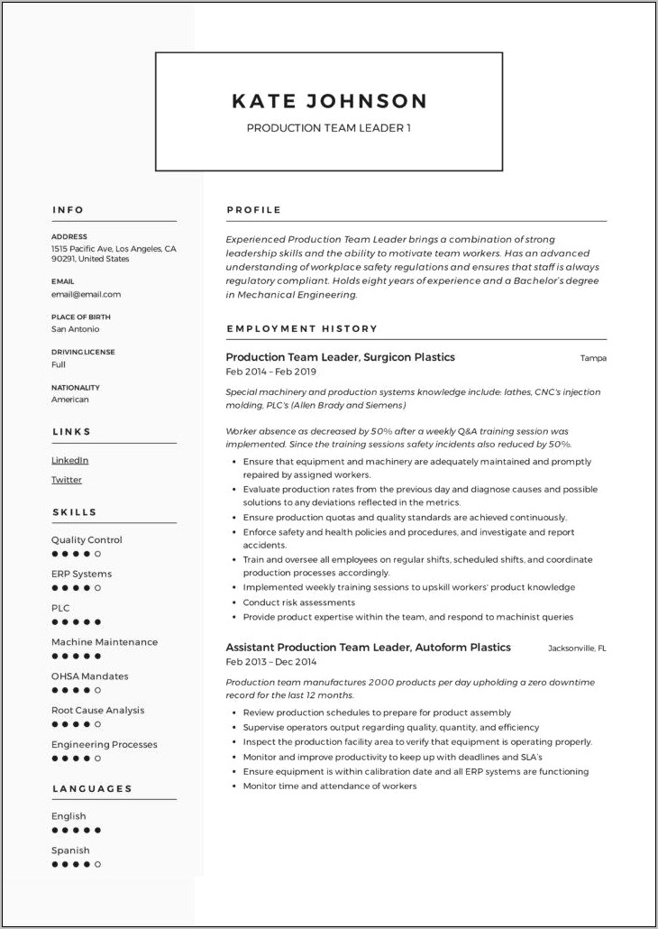 Examples For Resume Industrial Engineers Logistics Chief