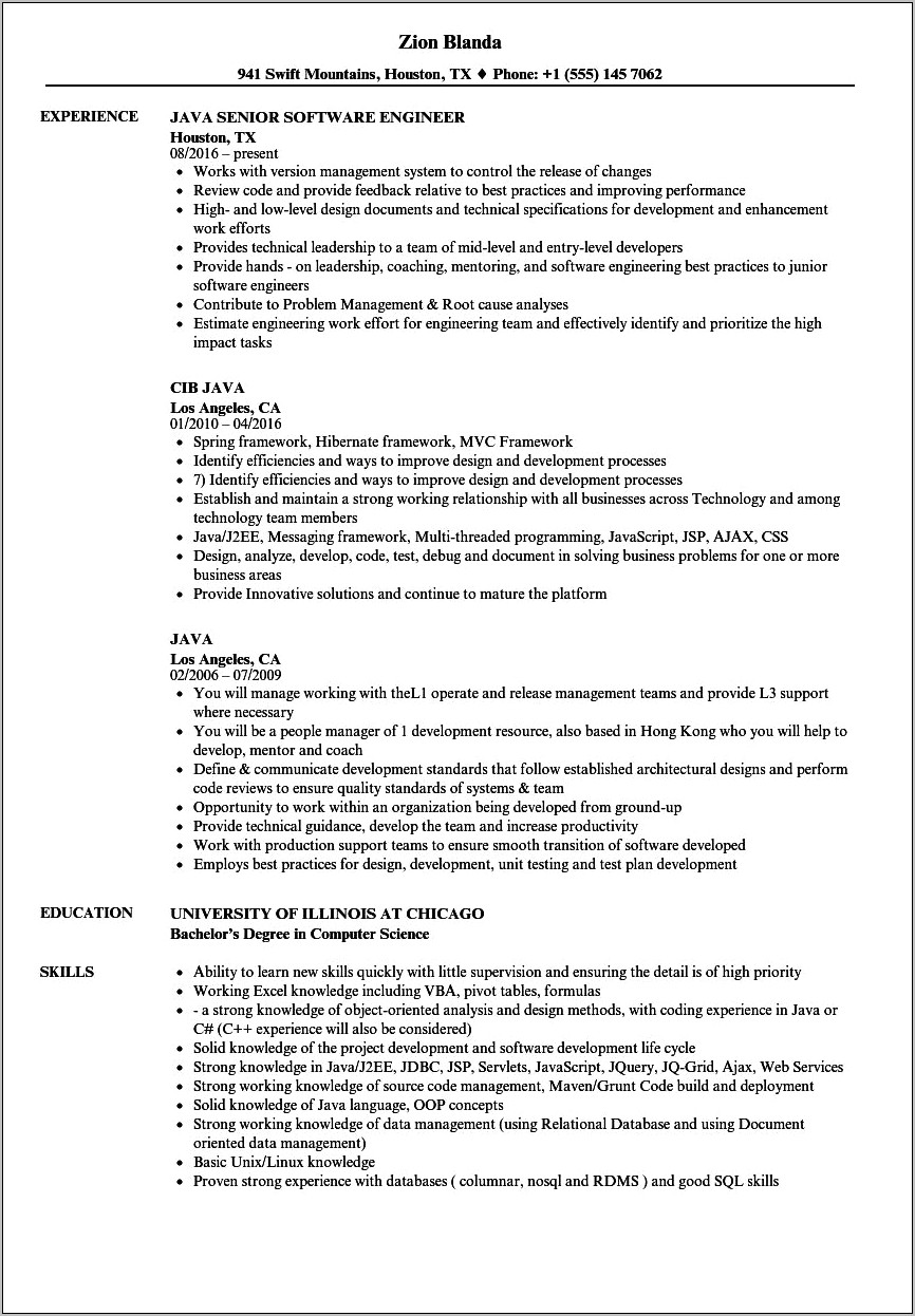 Experience Java Resume Sample Download