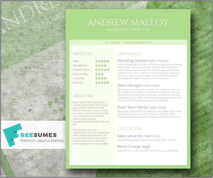 Free Creative Resume Template Word Doc