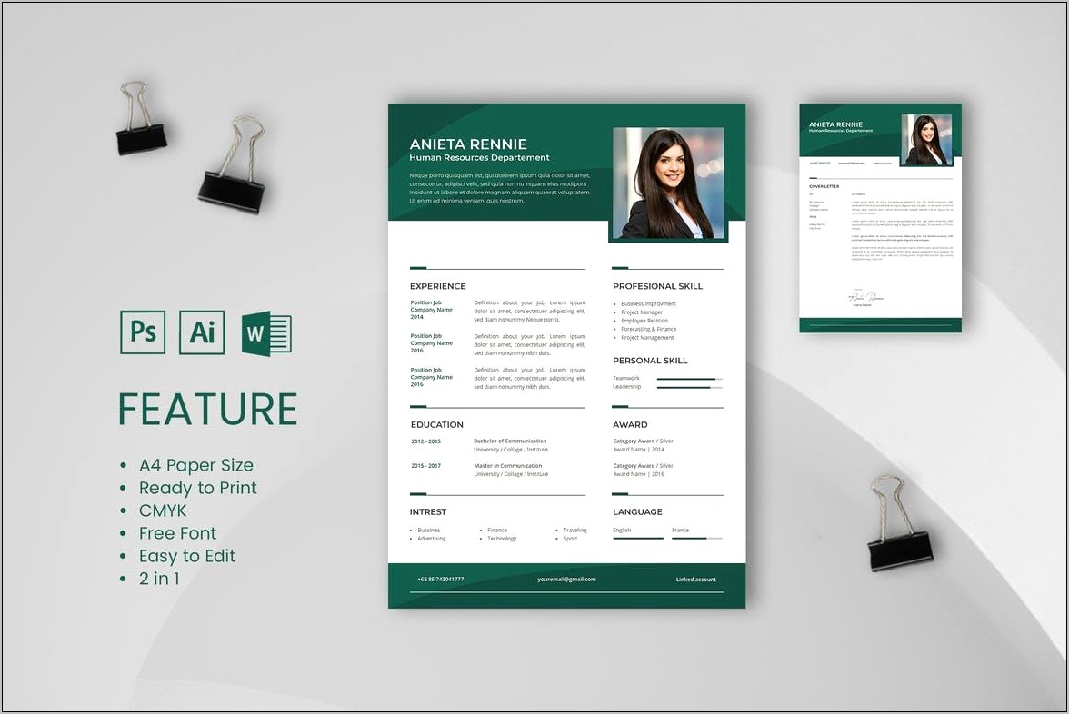 Free Plug And Write Resume Templates