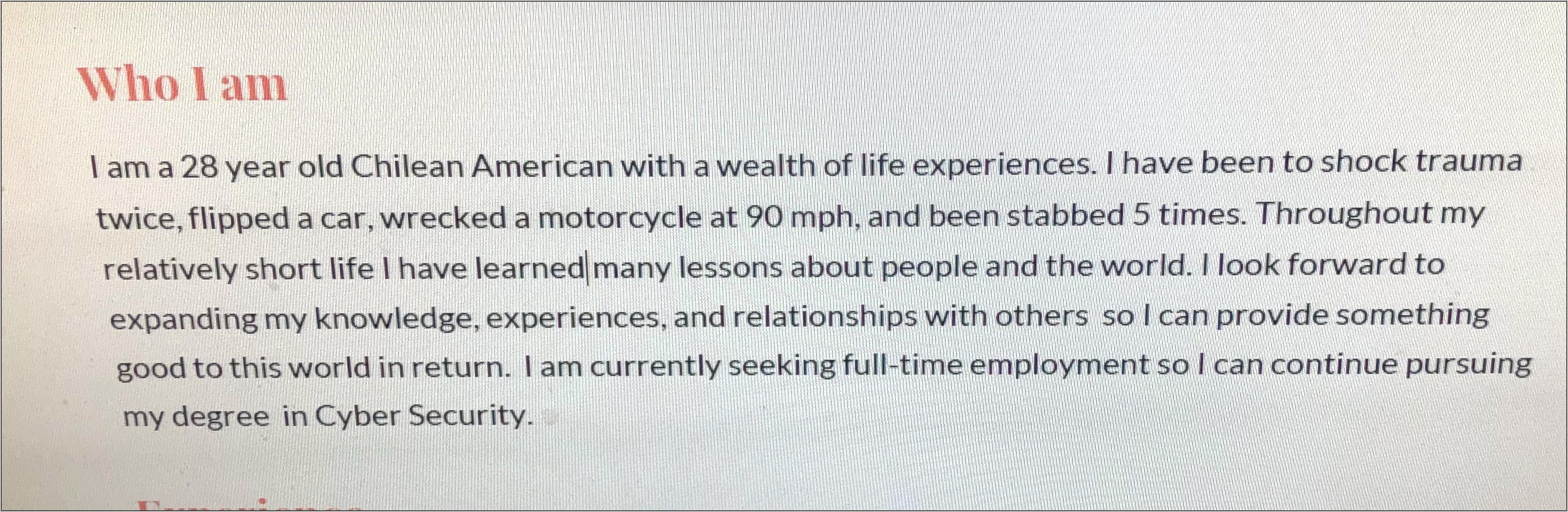 Good Introduciton Statement For A Resume