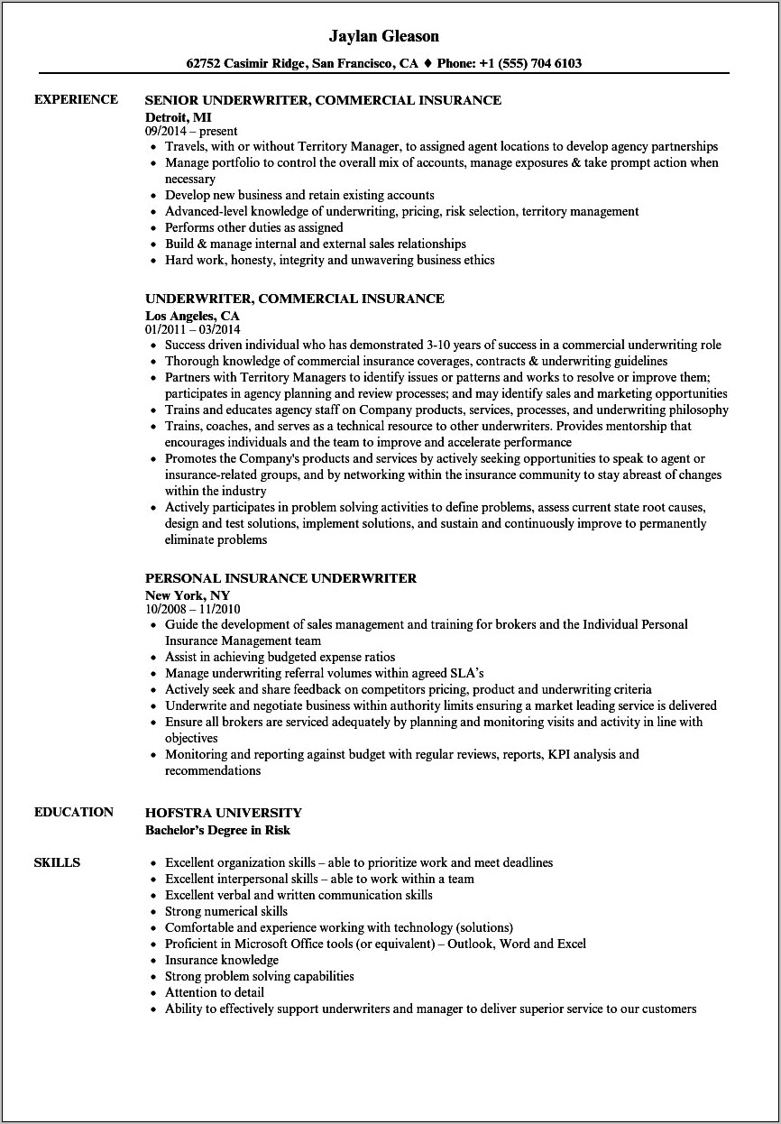 Great Example Of An Underwriter Assistants Resume Summary