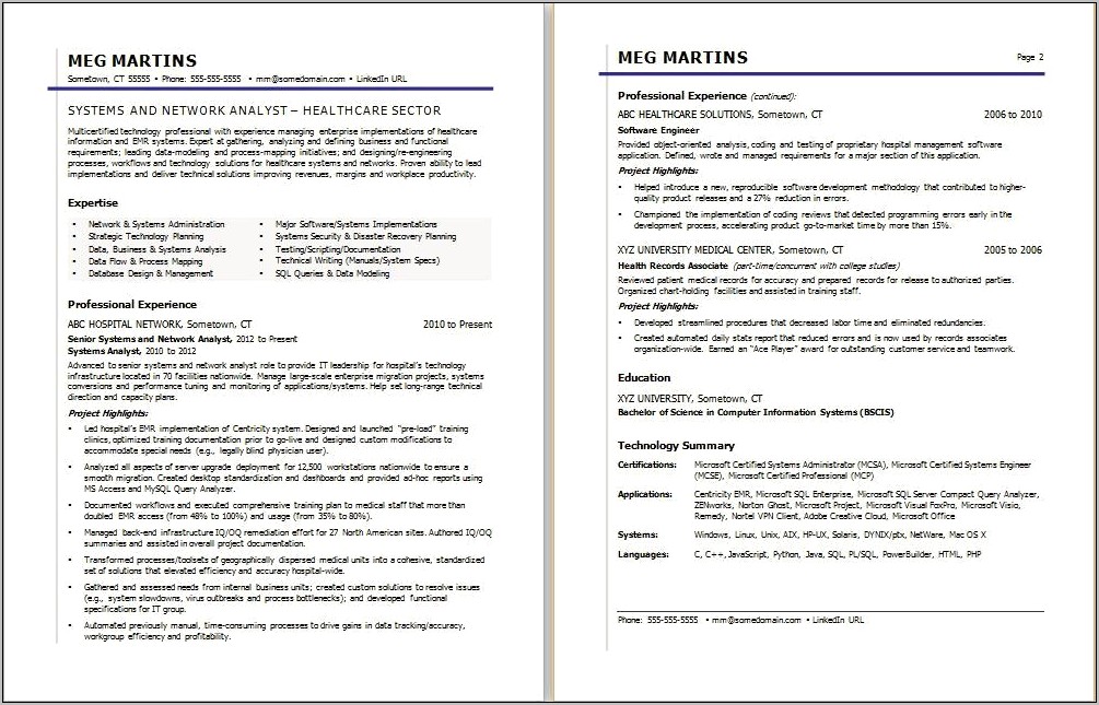 Information Technology Vice President Resume Sample