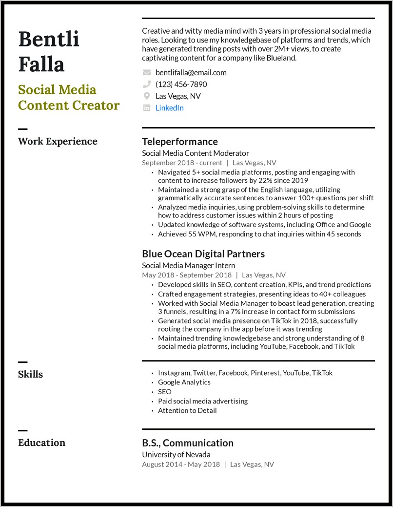 Job Experience On Resume Examples