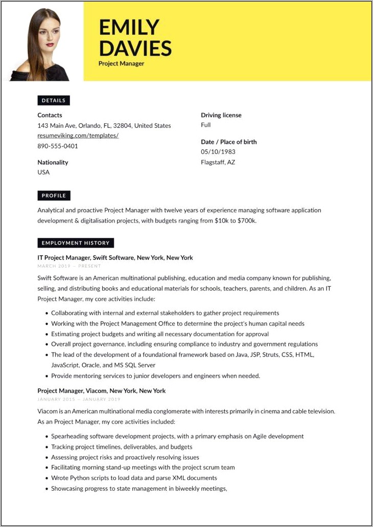 modern-project-manager-resume-template-resume-example-gallery