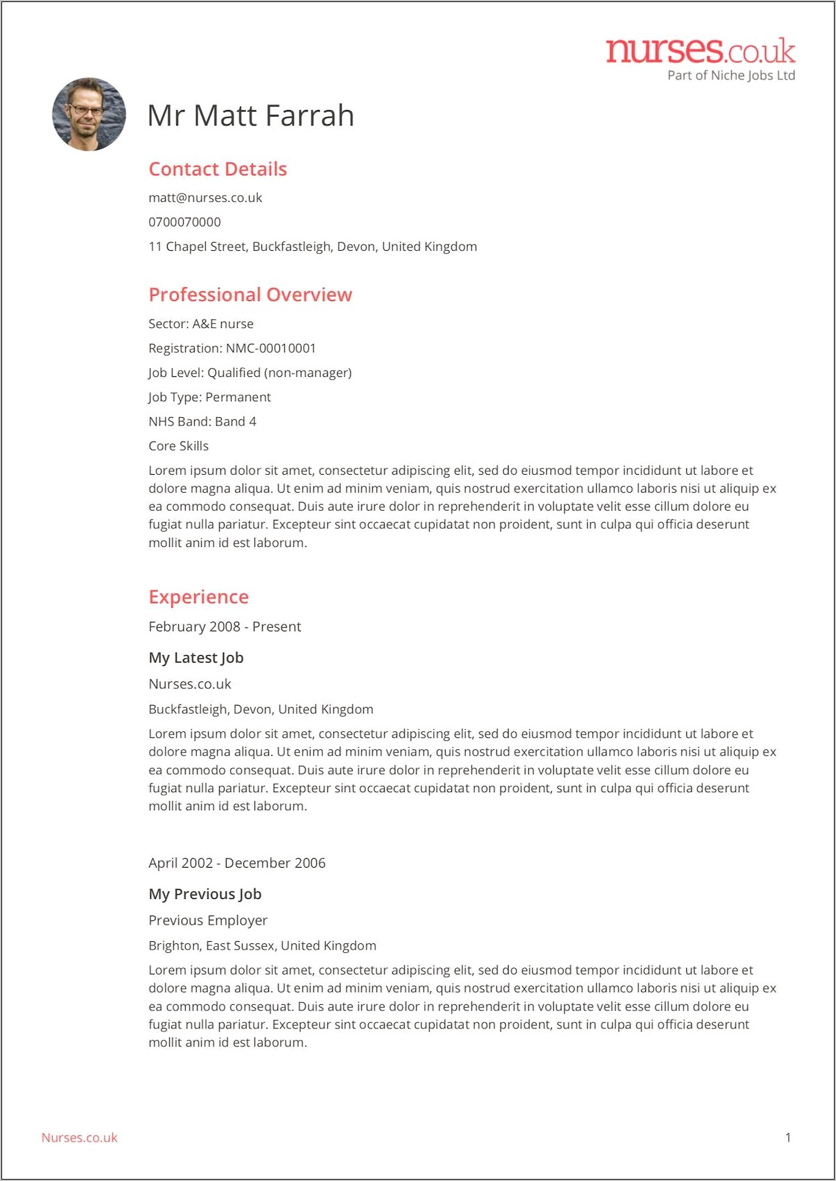 Nhs Skills And Achievement Resume Format