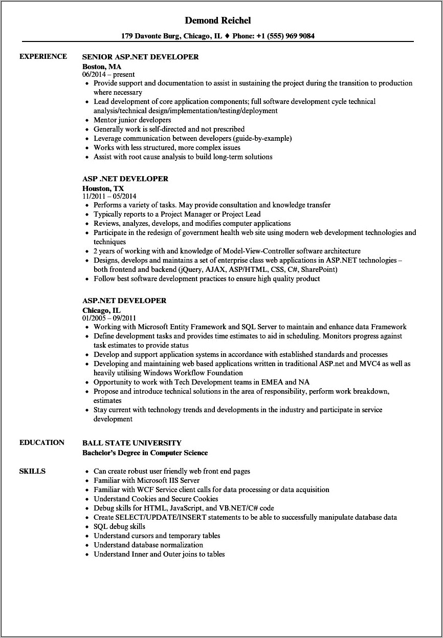 Pl Sql Developer Resume 10 Years Experience