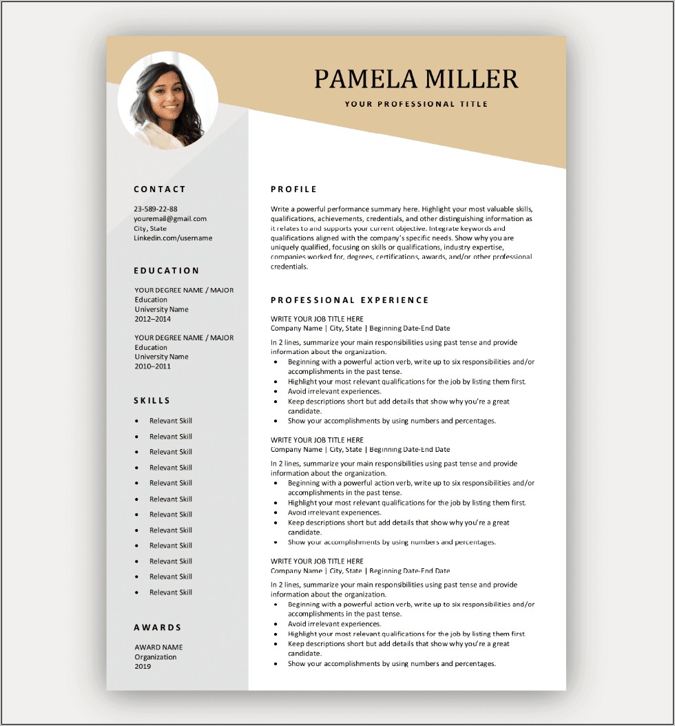 Professional Resume Template Word File