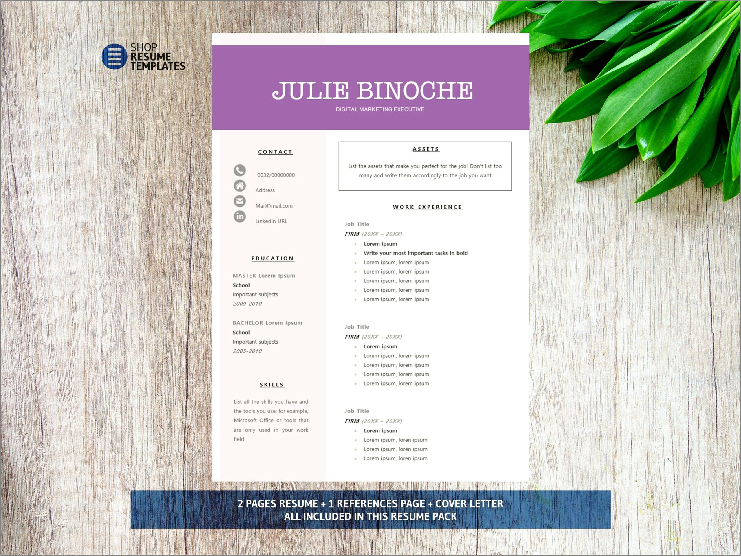 Microsoft Word Resume With References Template - Resume Example Gallery