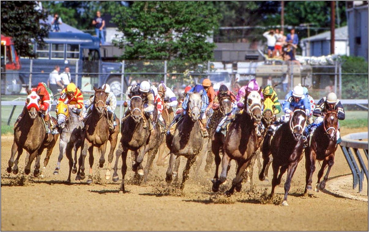 Resume Description For Horse Track Teller