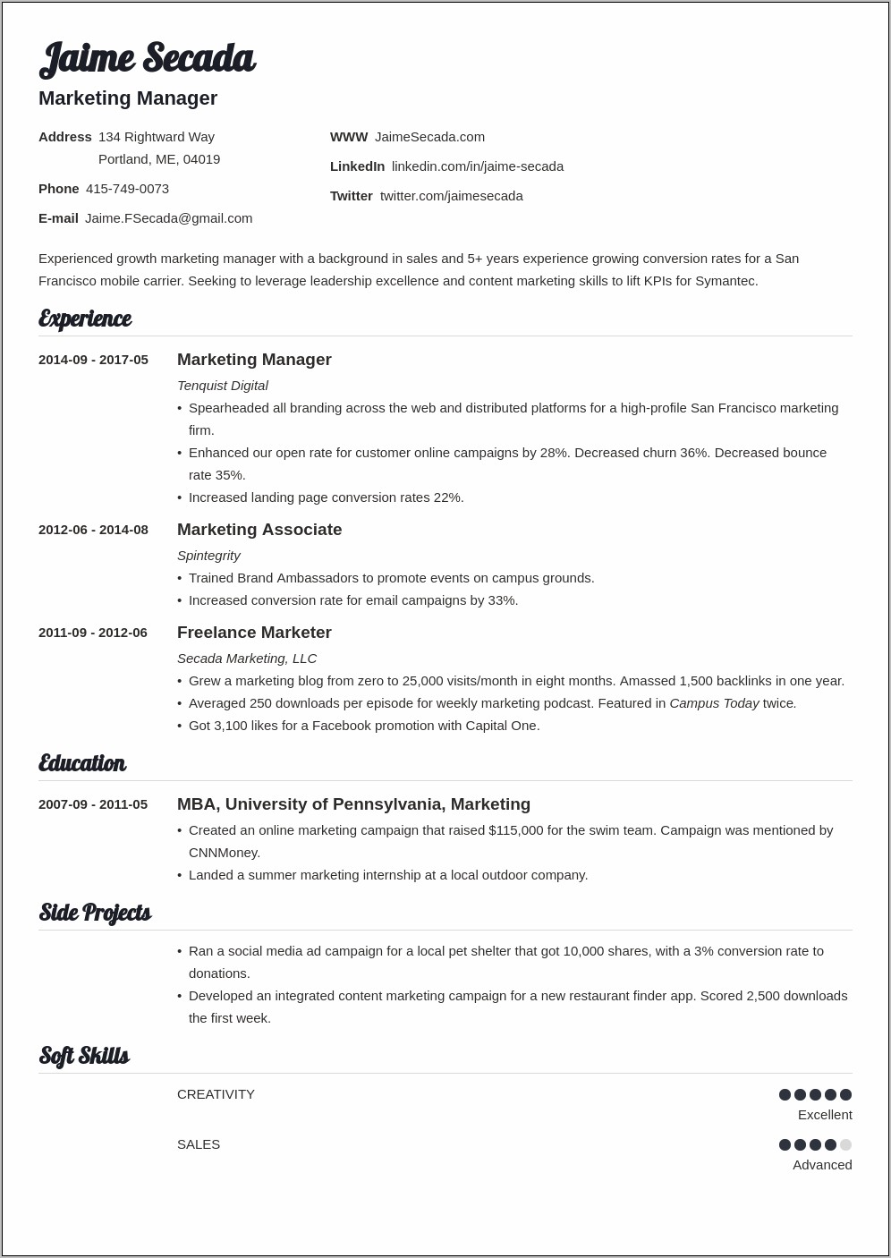 Resume Format For Marketing Executive In Word