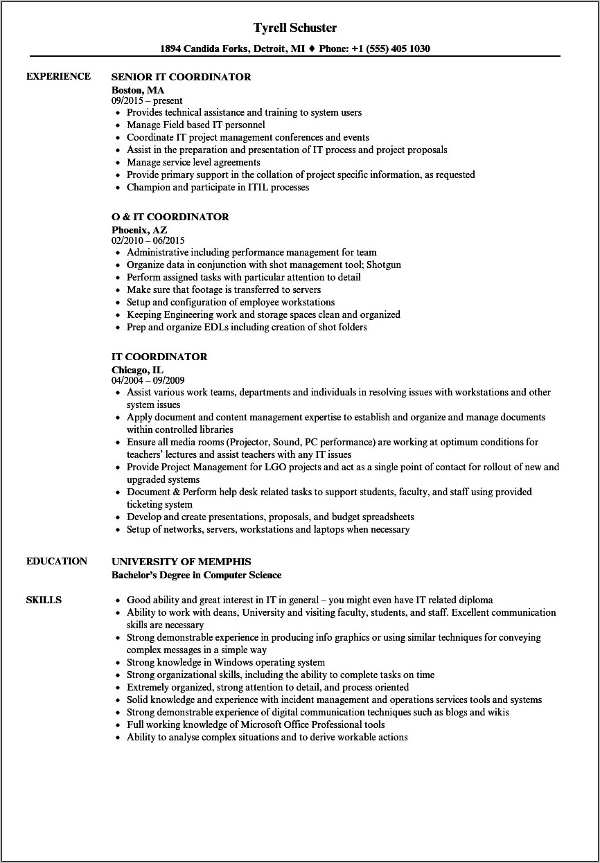 Resume Format For Ngo Sector Job Resume Example Gallery