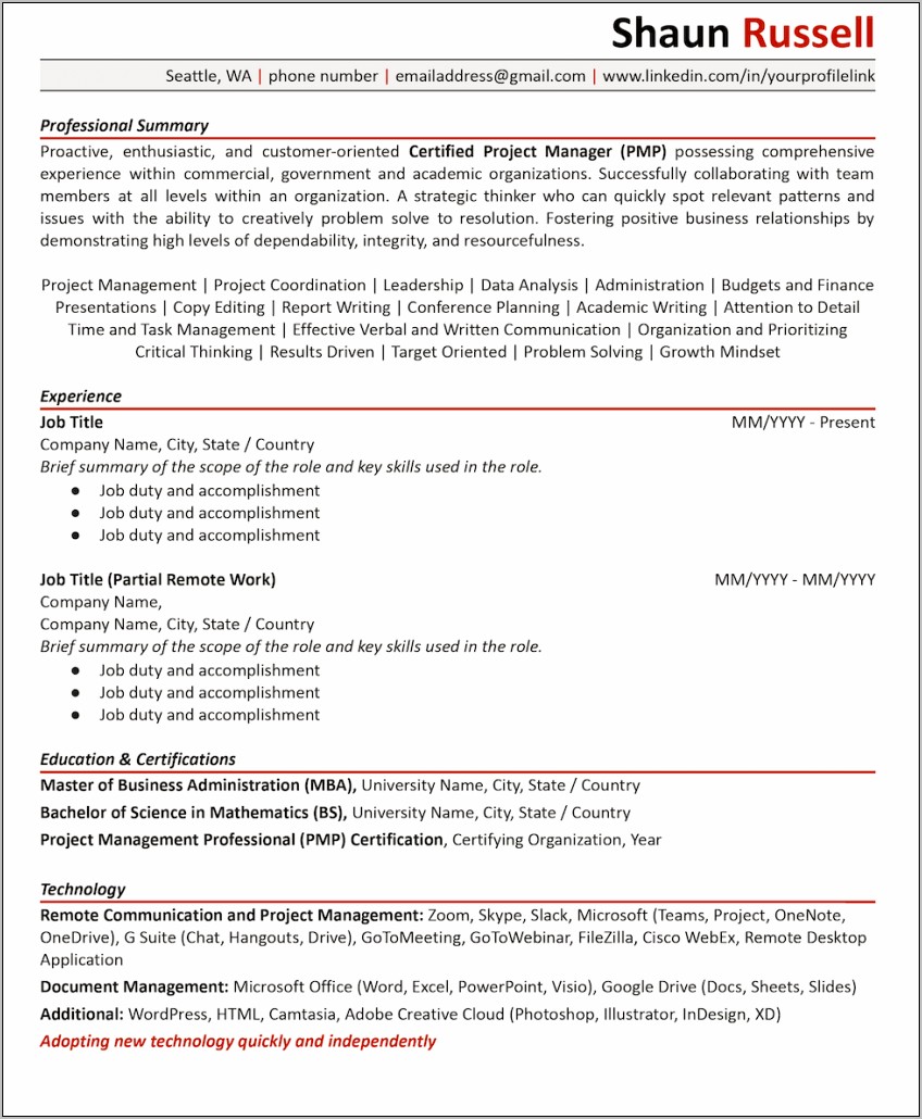 Resume Paragraph Descriptions As The Director