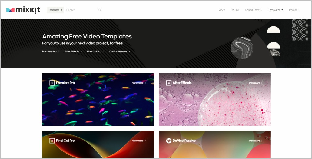 After Effects Free Motion Graphics Templates Resume Example Gallery