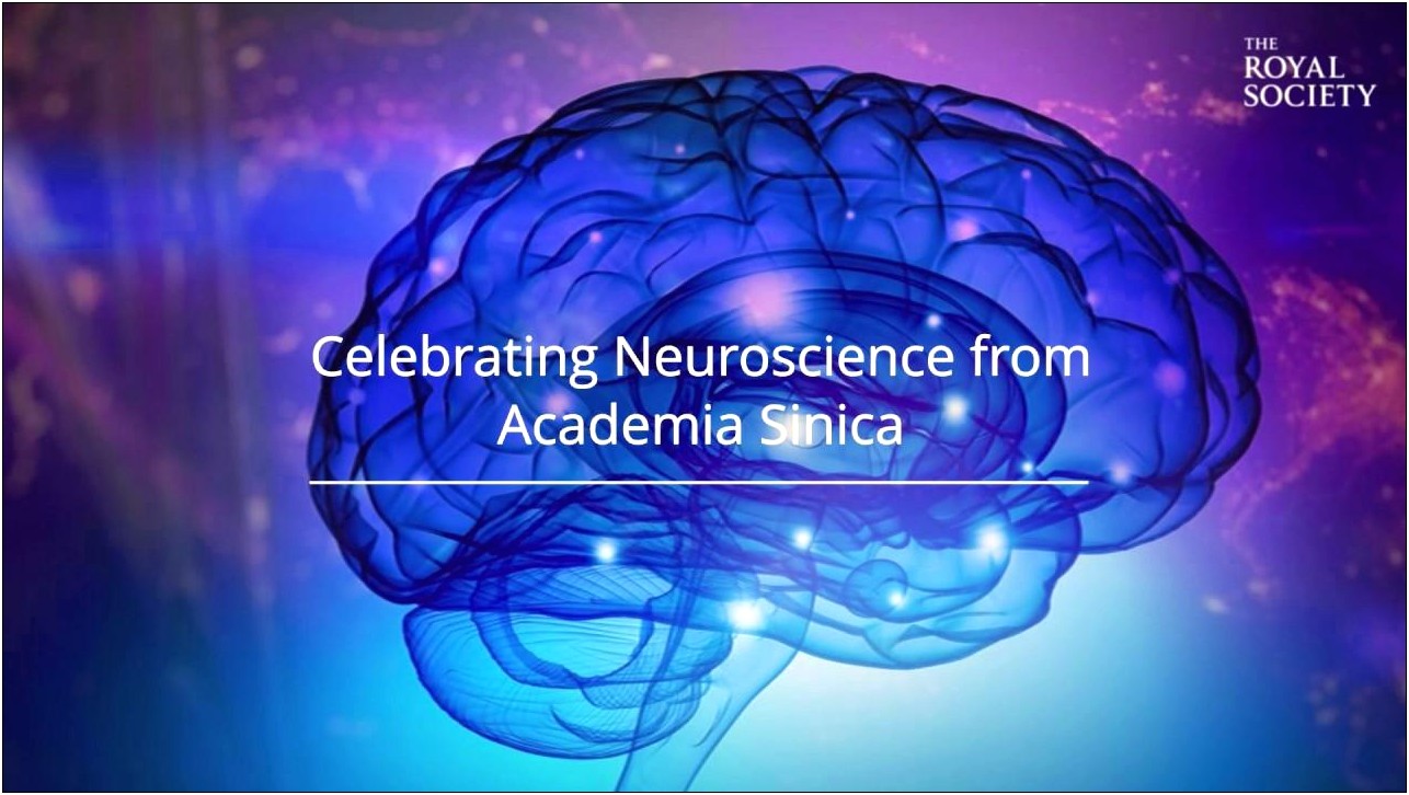 Animated Medical Neuroscience Free Powerpoint Template