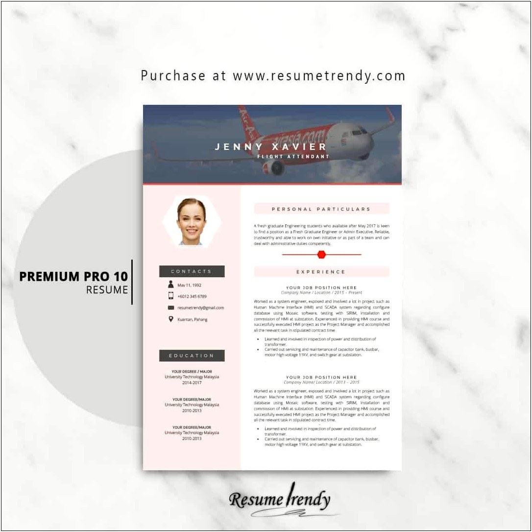 Cabin Crew Cv Template Free Download