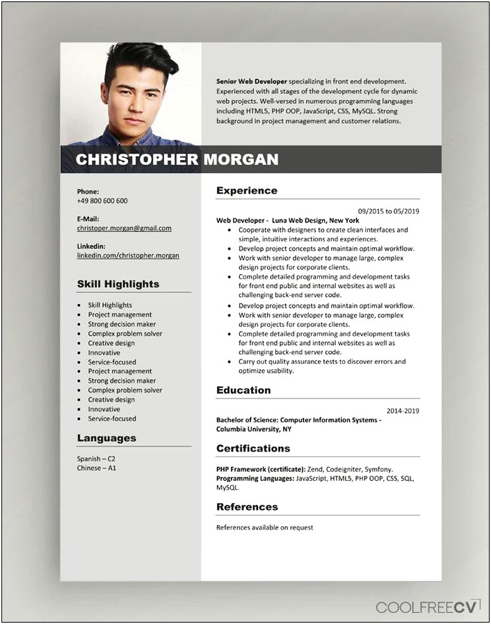 cv-template-design-free-download-pdf-resume-example-gallery