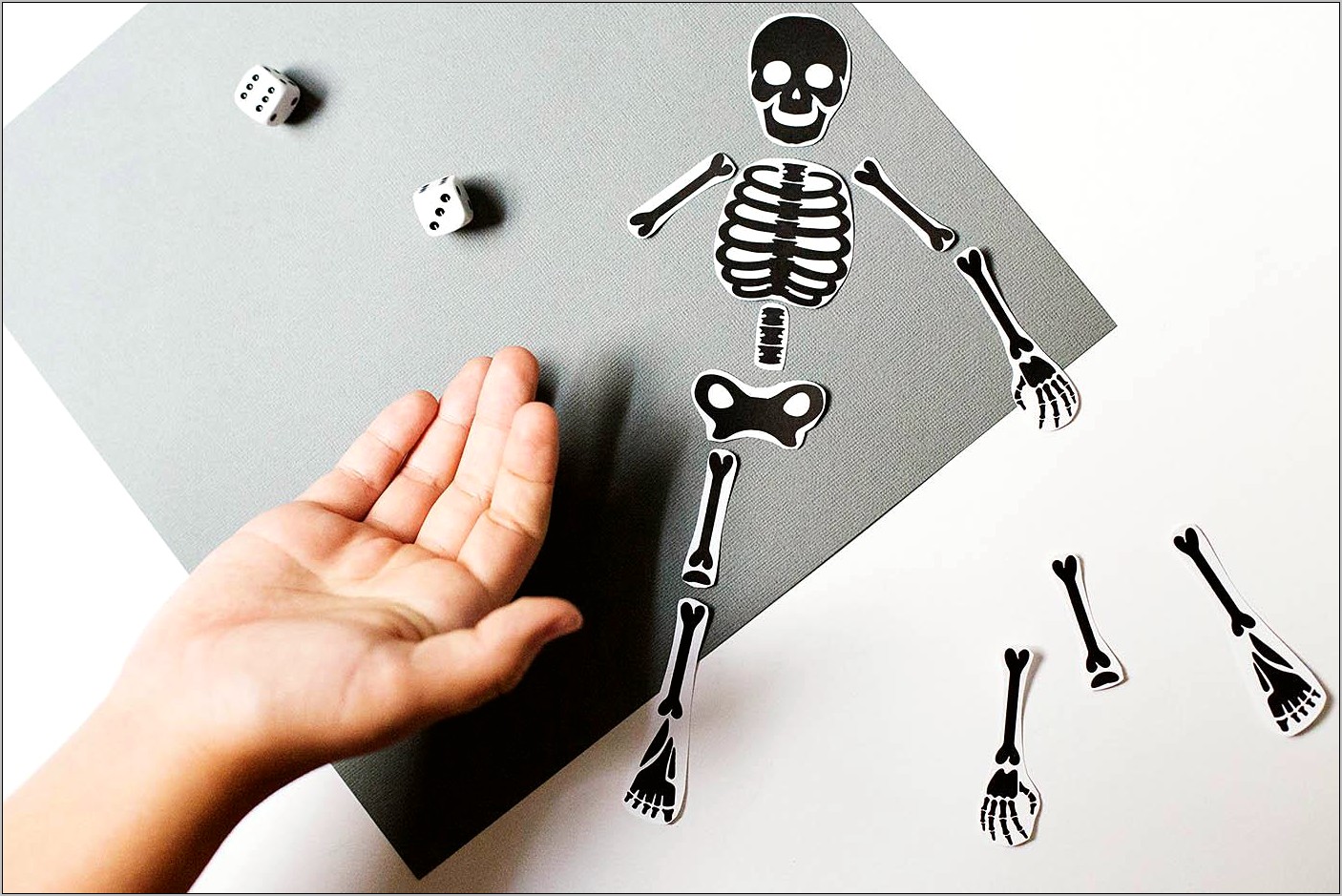 Free Printable Skeleton Template Cut Out Resume Example Gallery