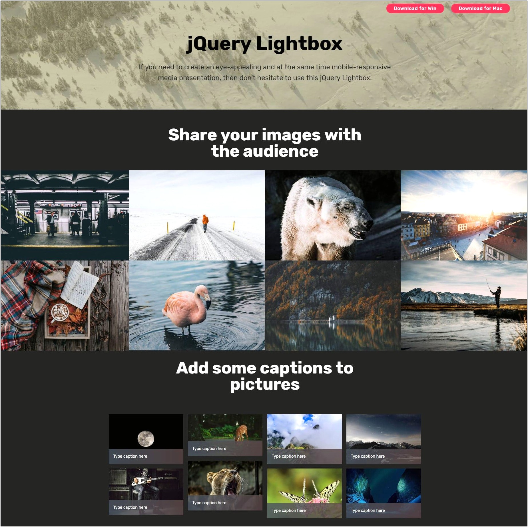 Html5 Photo Gallery Template Free Download