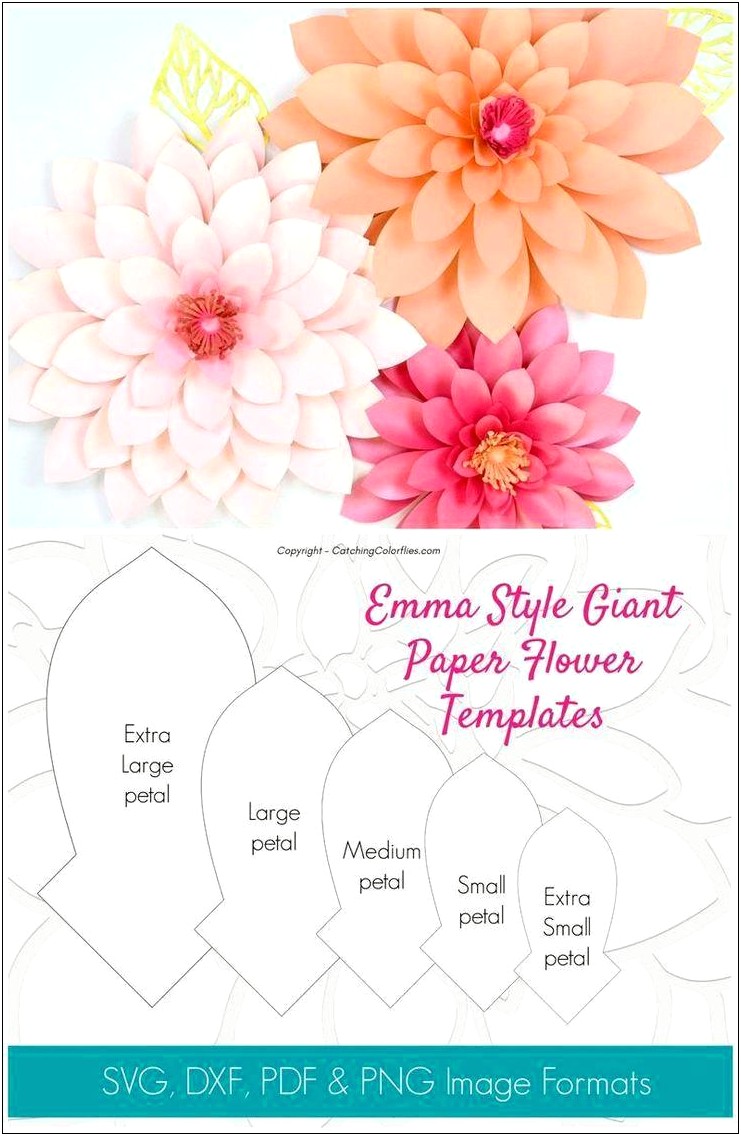 Large Paper Flower Template Svg Free Resume Example Gallery