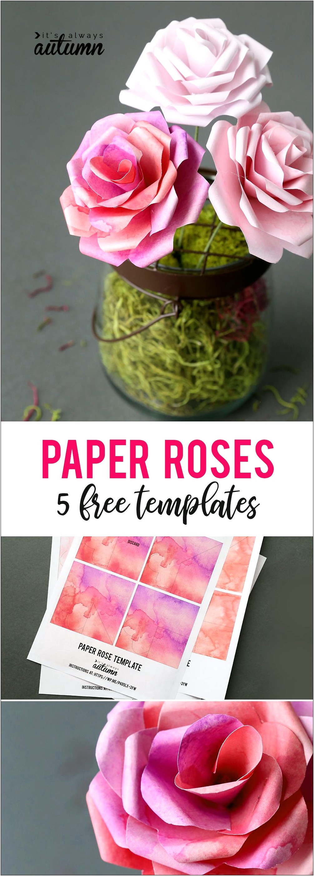 Large Paper Rose Template Printable Free