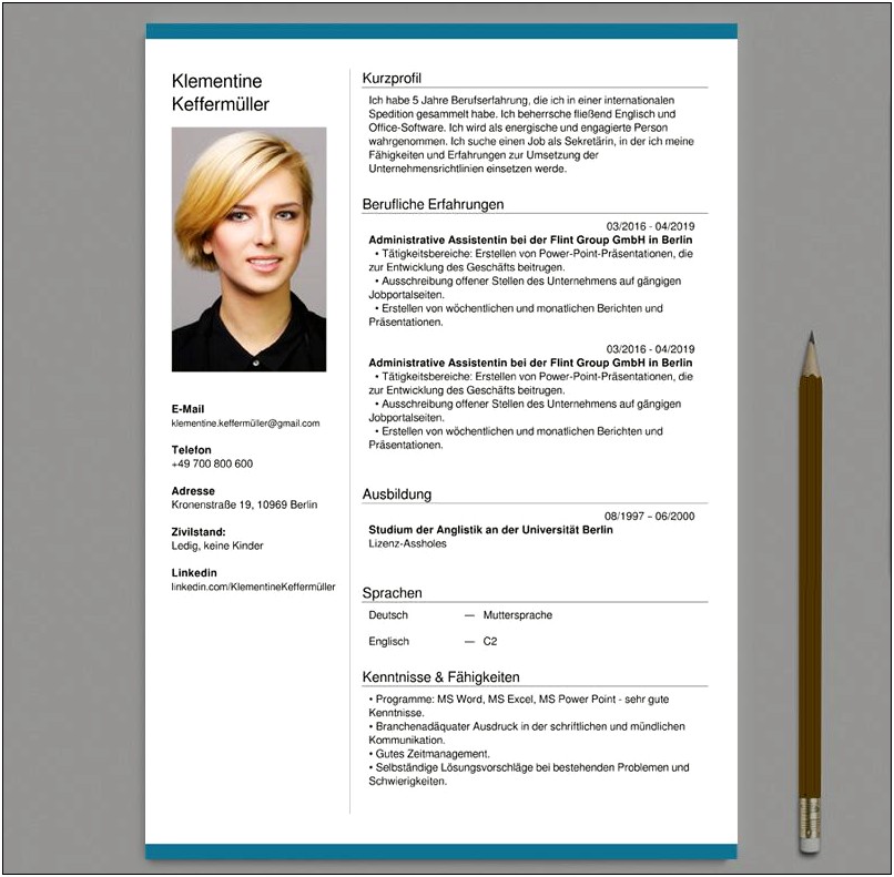 professional-cv-template-free-download-word-resume-example-gallery