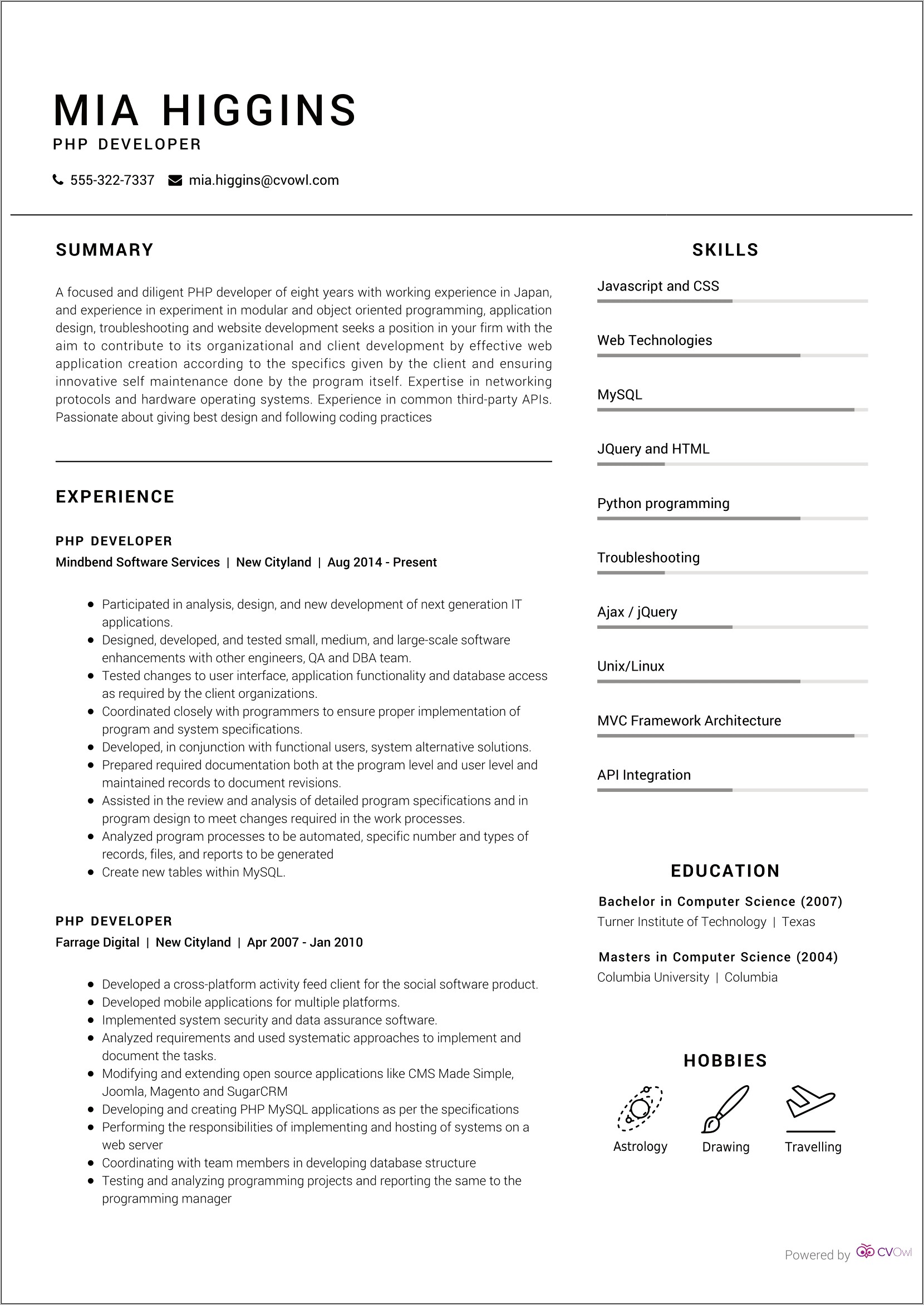 Resume Summary For Experienced Developer
