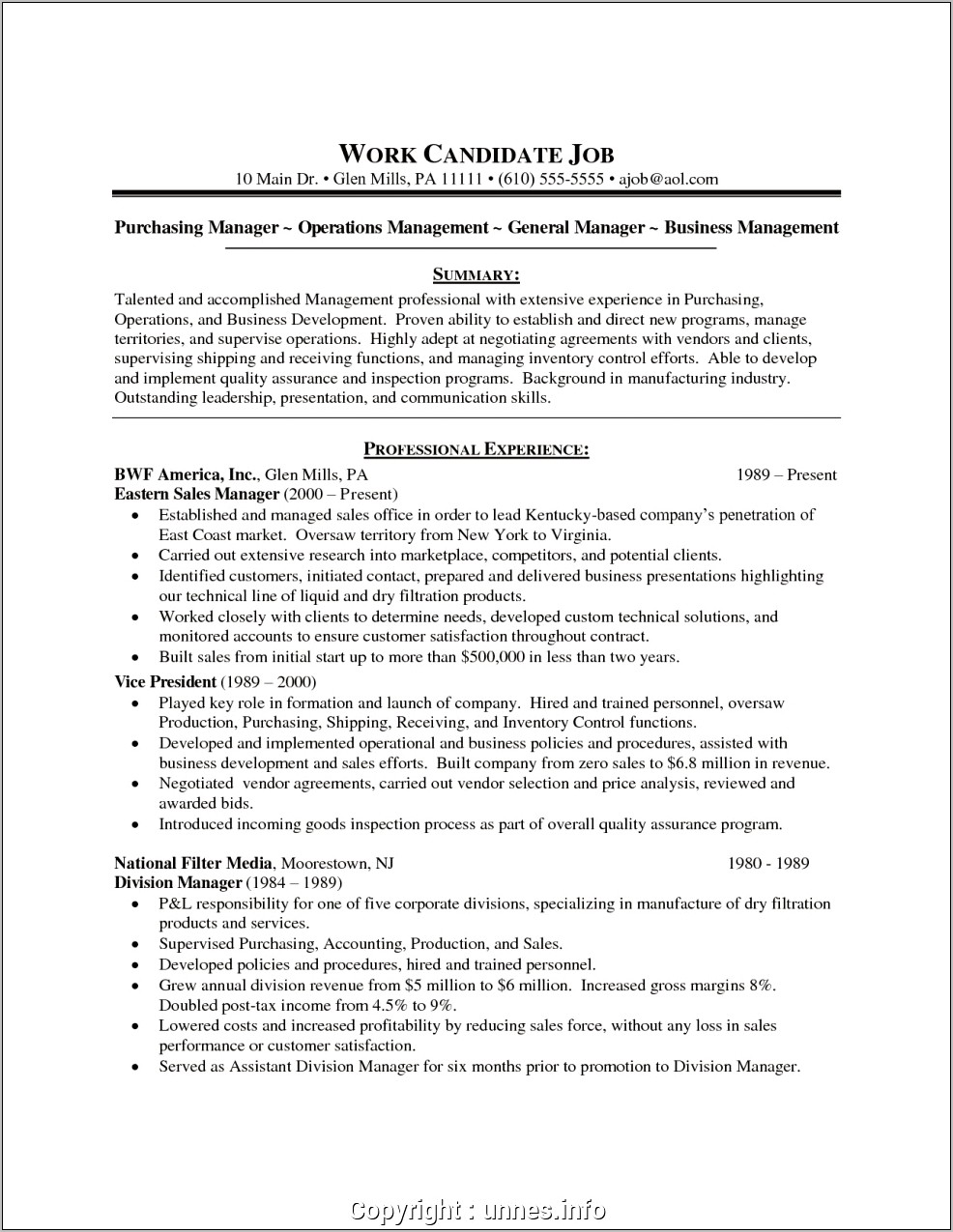 Resume Summary Statement For Purchasing Manager