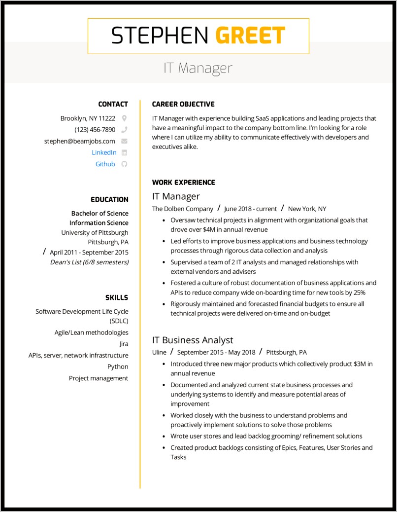 Resume Summary Template Of It Professional