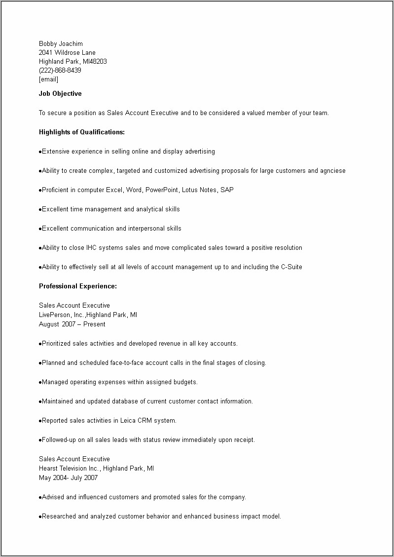 Sales Account Executive Job Description Resume