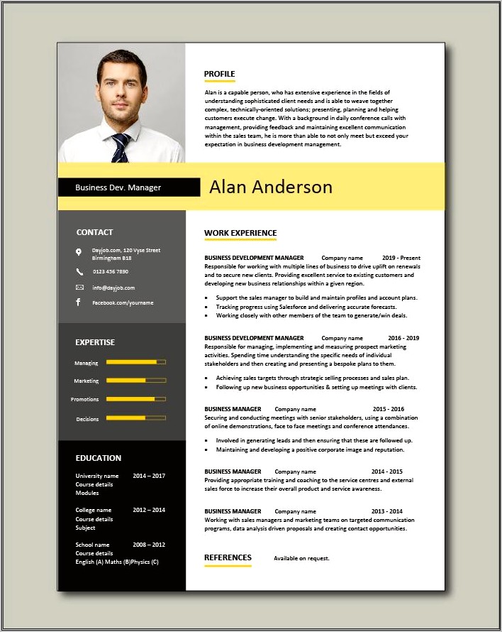 Sample Resume Business Development Manager Insurance