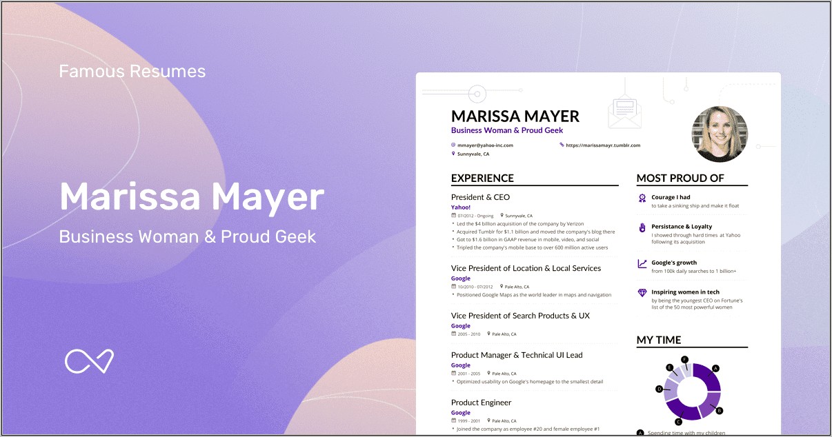 Sample Resume For A Ceo Business