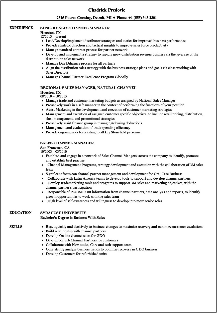 Sample Resume For Channel Sales Representative