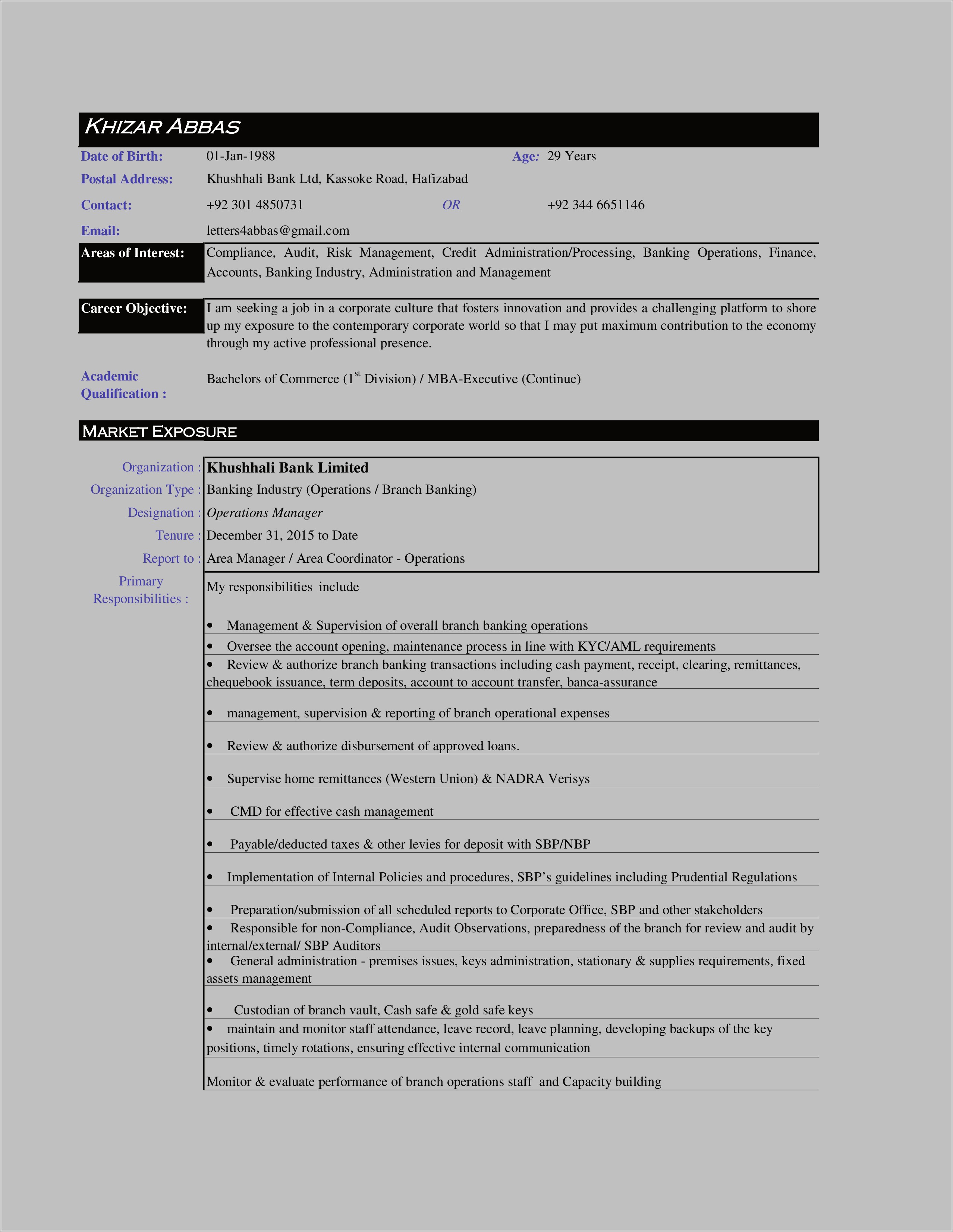 Sample Resume For Finacial Compliance Auditor