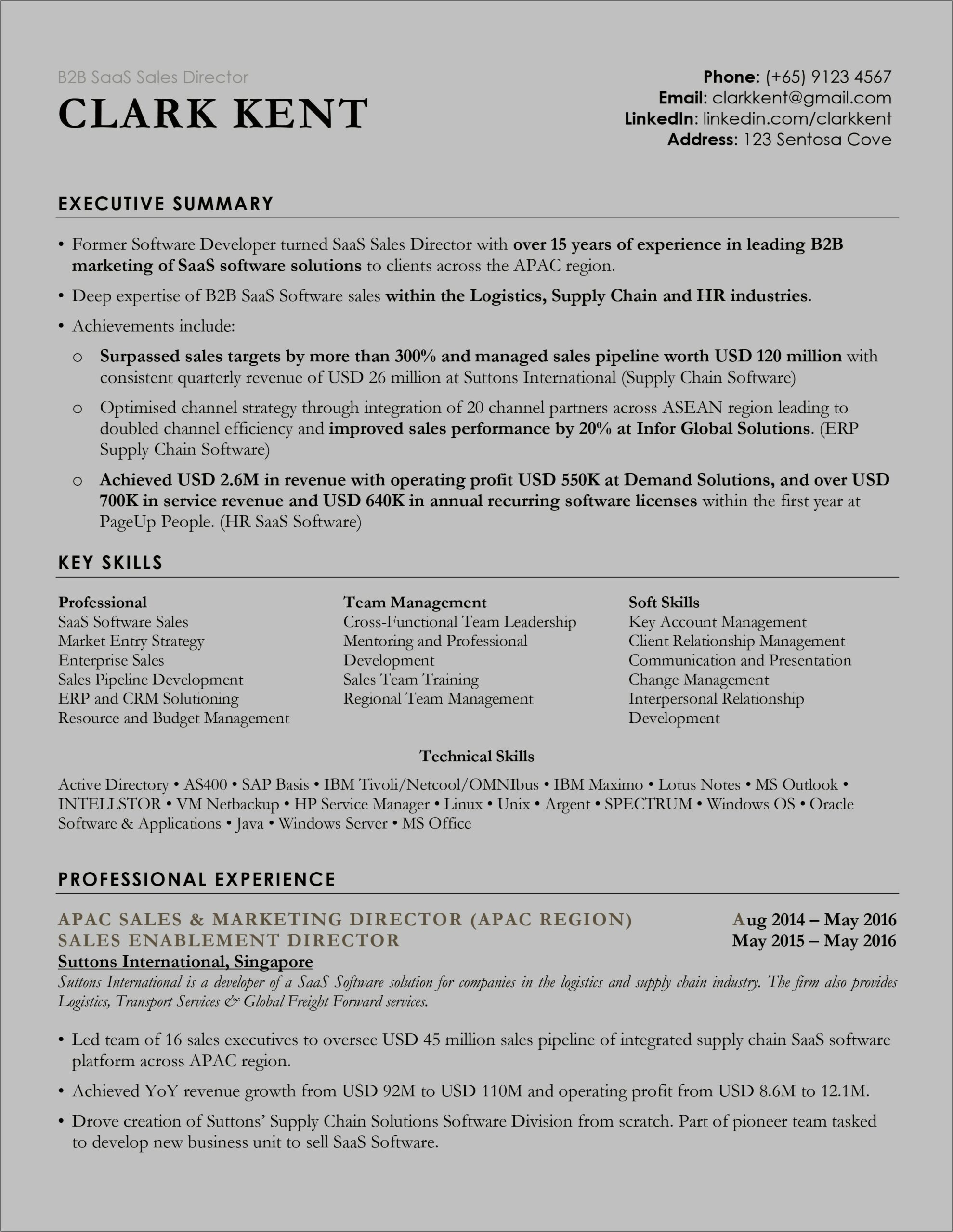 Sample Resume Format For It Professional