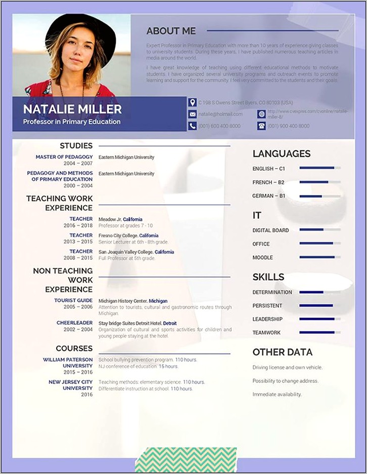 Sample Resume Format For Teaching Professional