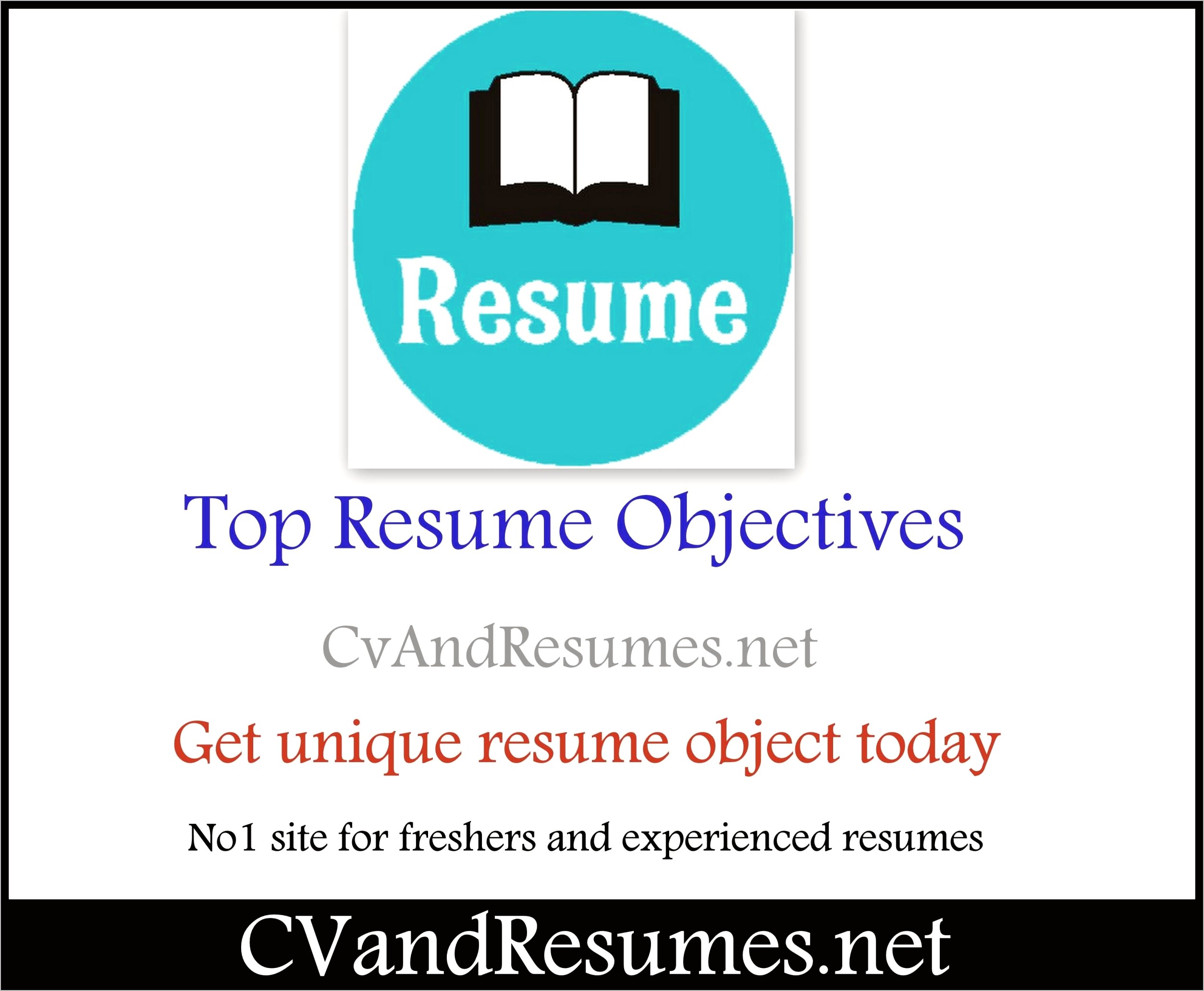 Sample Resume Objective Statement For Computer Science Resume Example