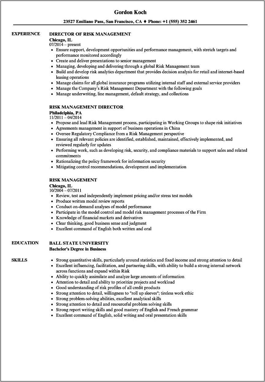 Sample Resume Summary For Risk Management