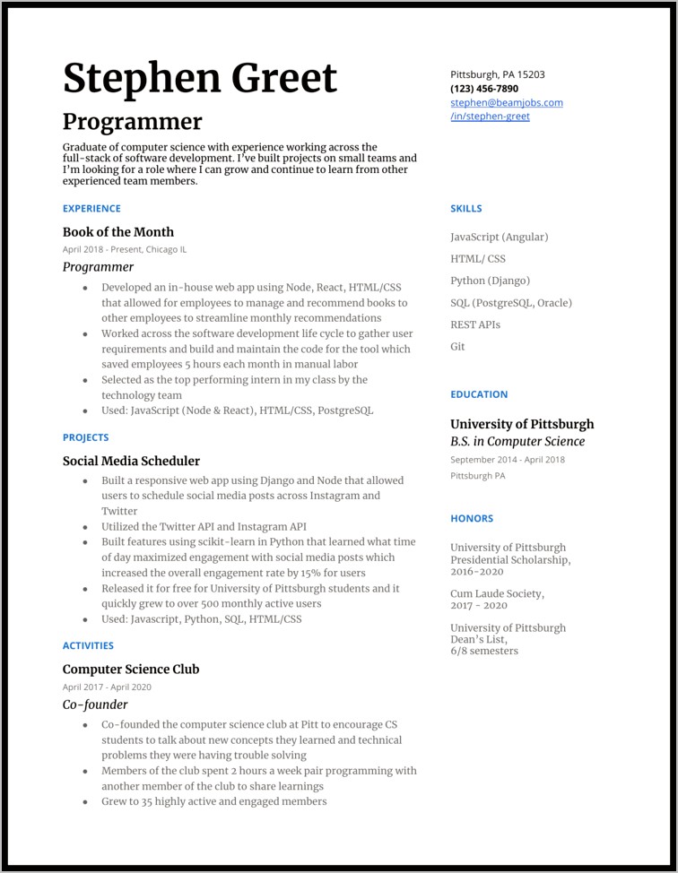 Sample Resume Summary Statement For Programmers