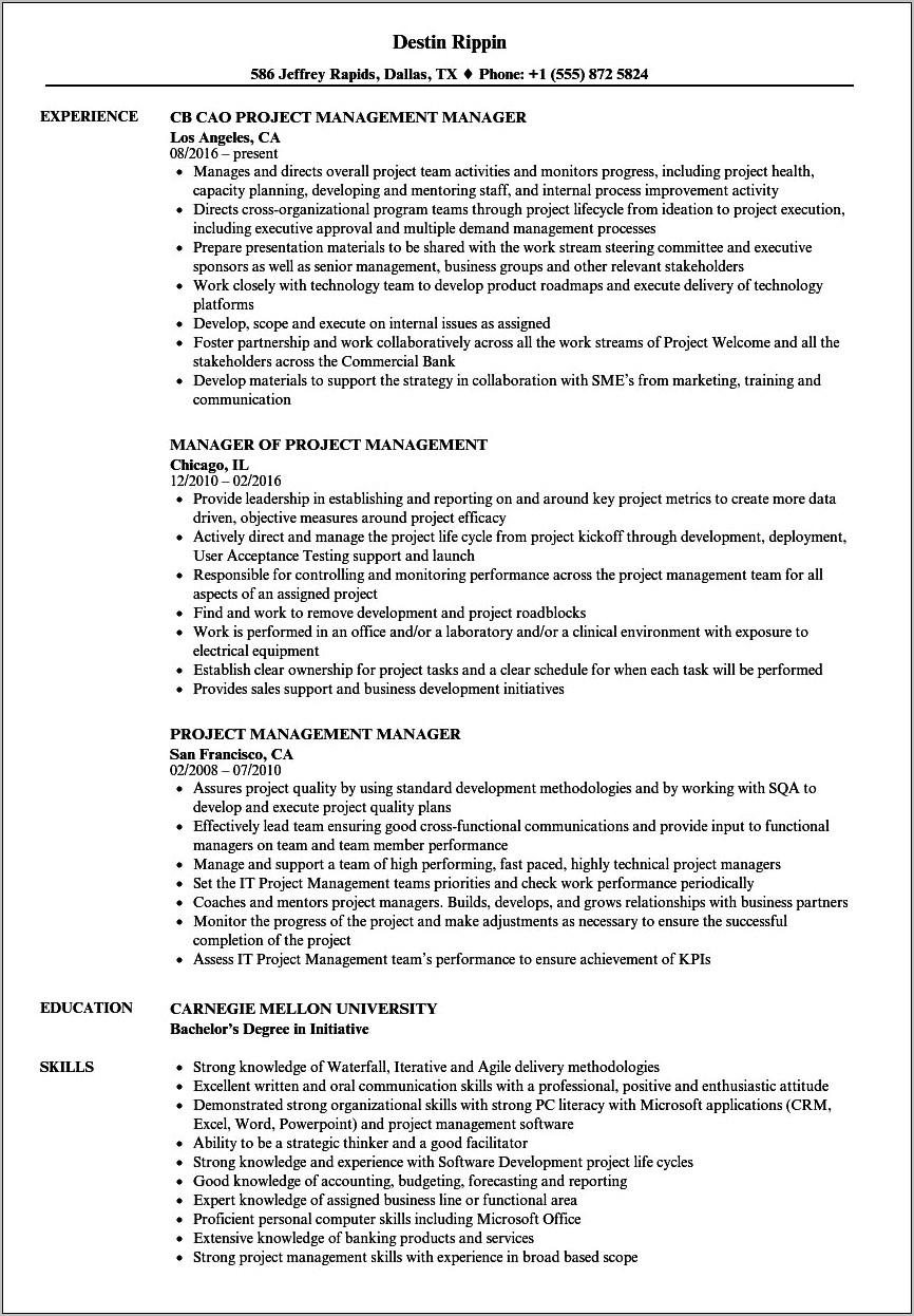 Sample Resumes For A Project Manager