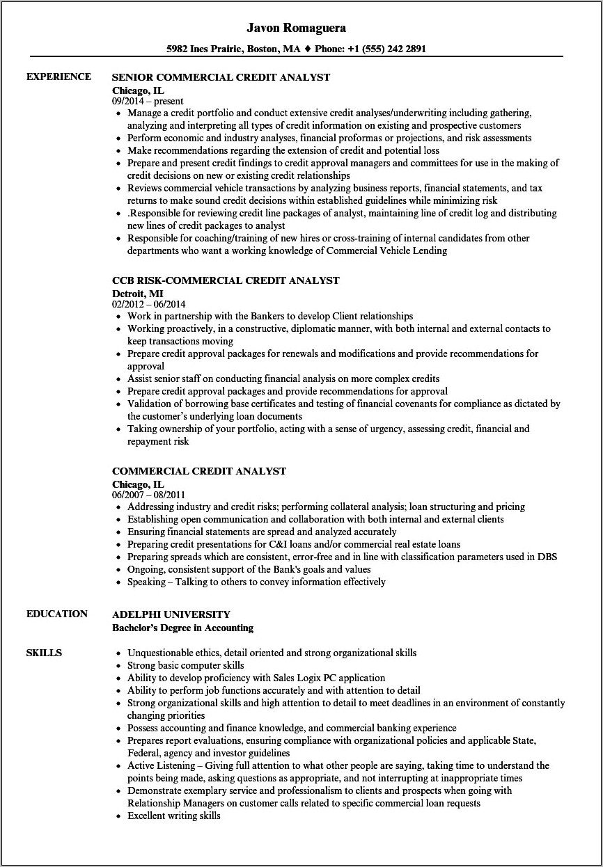 Senior Credit Officer Job Description Resume