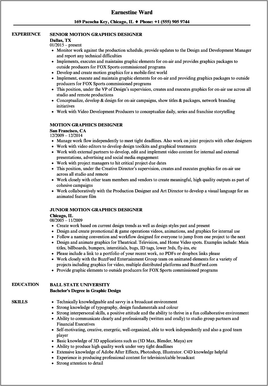 Senior Motion Grafics Designer The Best Resume