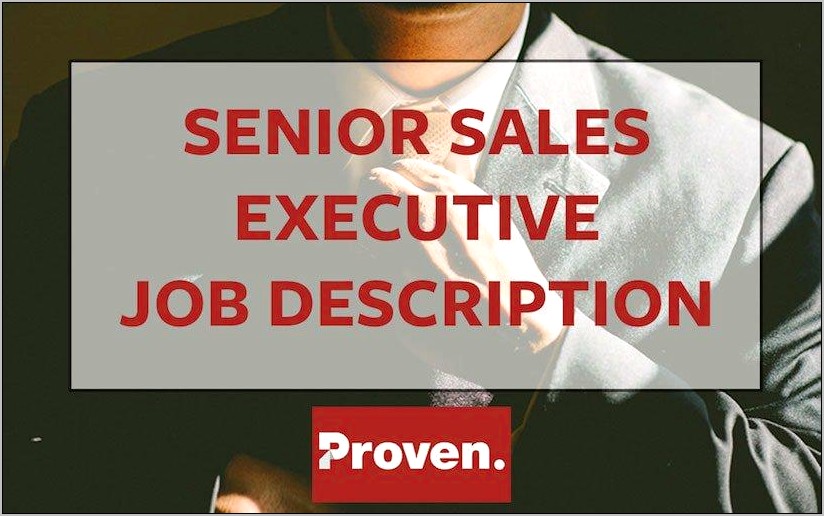 Senior Sales Executive Job Description For Resume